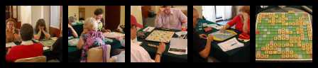 contact sheet